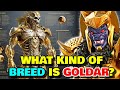 Goldar Anatomy Explored - What Kind Of Breed Is Goldar? Why Is He Called Goldar?