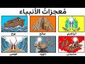 شرح جميع معجزات الانبياء في 15 دقيقة mp3
