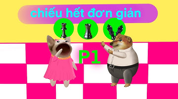 Giải thích cách chiếu hết cực dễ hiểu. Từ dễ đến khó #chess #cheems #covualogic 