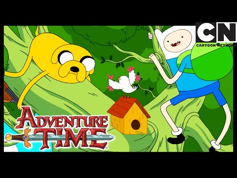 evicted!-|-adventure-time-|-cartoon-network