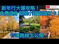 新年行大運攻略！免費健身 歐陸小鎮 超強打卡！福田畢架山公園 蓮花山公園 深業上城一條龍路線設計！/文杰新時代/2024年2月1日