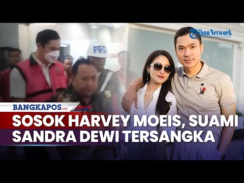 Sosok Harvey Moeis, Suami Sandra Dewi Tersangka Baru Korupsi Timah, Pernah Belikan Anak Jet Pribadi