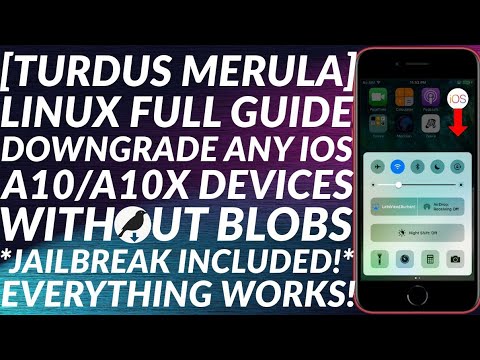 [GUIDE] Turdus Merula