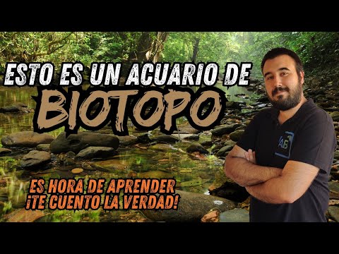 ¿Qué TIPOS de acuario de BIOTOPO existen? APRENDE a DIFERENCIARLOS.