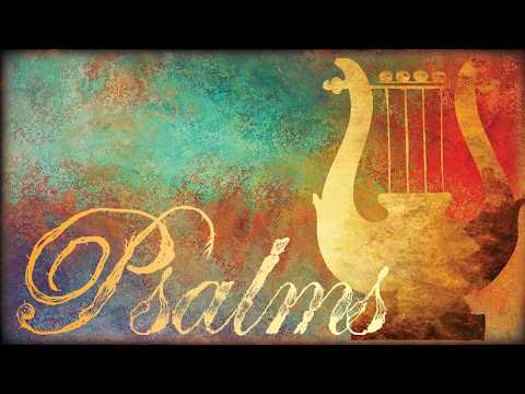 August 1, 2026 Psalm 146 - Rabbi Greg Hershberg