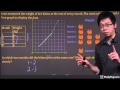 Kitten Growth Analysis Quiz