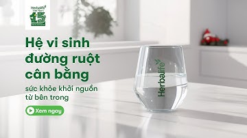Hệ vi sinh đường ruột và tầm quan trọng của việc cân bằng hệ vi sinh