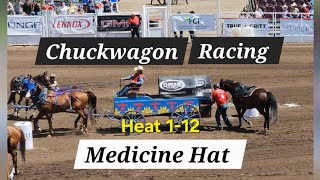 Day 4 - Chuckwagon Racing Medicine Hat 2026