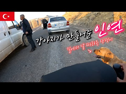 🇹🇷  들개로 시작해 들개로 끝나는 하루 | 강아지가 선물해준 인연【자전거 세계여행 99】