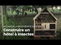 Construire un hôtel à insectes | Fabriquer des abris pour animaux