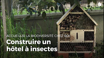 Quel bois pour hôtel à insecte ?