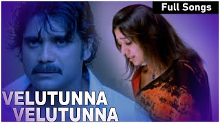 Velutunna Velutunna Full Video Song | Nagarjuna | Nayanthara | Sunitha