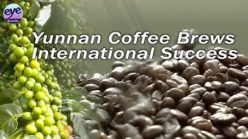 Yunnan coffee brews up success in export markets