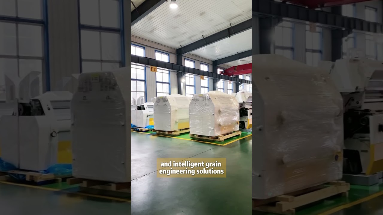 Revolutionizing Grain Processing: PINGLE GRAIN TECHNOLOGY 🌾🔧