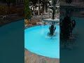 Ιερά Μονή Προφήτου Ηλία Στο Χωριό Άγιο Πνεύμα Σερρών έτος 2019