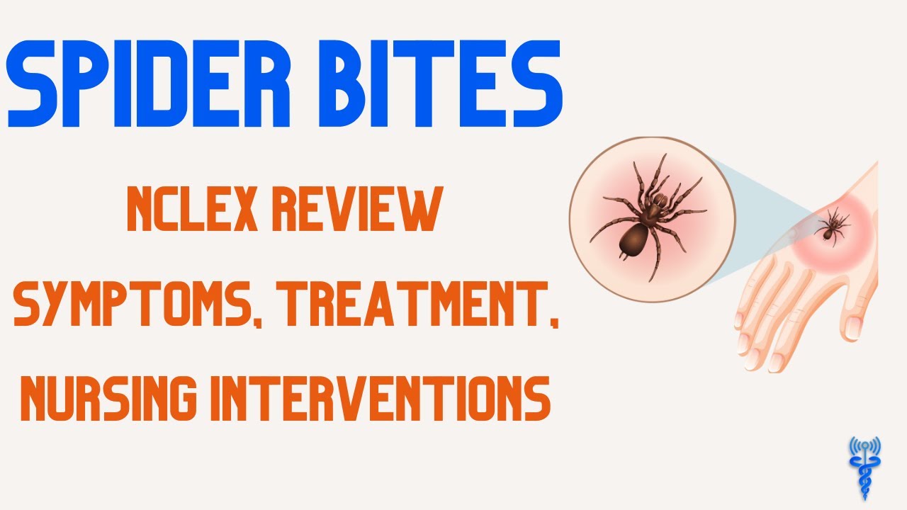SPIDER BITES NCLEX REVIEW - YouTube