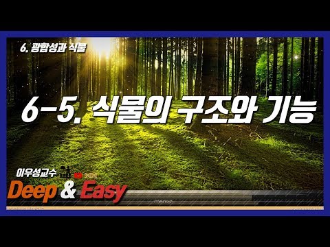 [Deep&Easy] 6장 광합성과 식물 [6-5] 식물의 구조와 기능