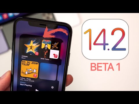 iOS 14.2 Beta 1 Released – What's New?