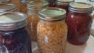 canned up a variety of beans today navy beans black beans and red beans  all at the same time