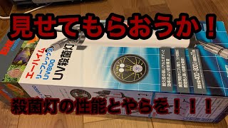 エーハイムリーフレックス買ったった！急遽混泳も…