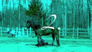 Double Bareback JUMPING and FALLING