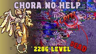🚨TOP Players of Aurera Global 2024🚨 💀 2000+ levels DEAD [TIBIA] 💀