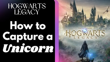 How to Capture a Unicorn - Beast Collecting - Hogwarts Legacy