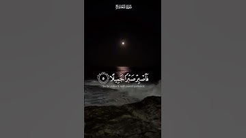 تلاوة رائعة بصوت الشيخ المنشاوي – لحظات من السكينة والطمأنينة