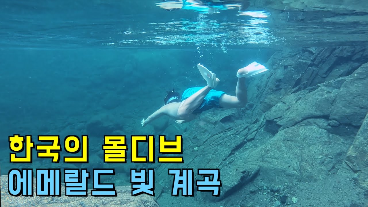 (수심 4m) 자연산 메기가 있는 청정 끝판왕 계곡에 가보다