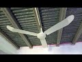 56" TMC Model CB-5601 and TMT Model C-303 Industrial ceiling fans in my School (Largest Classroom)