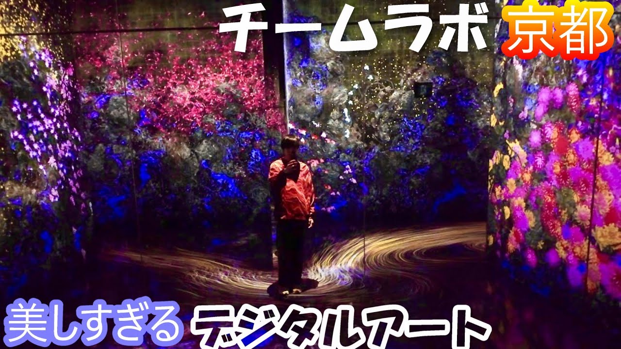 【チームラボ京都】国内最大規模のチームラボで五感で楽しむ最先端のデジタルアートをひとりで堪能