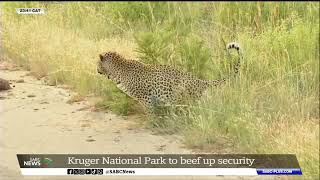 Kruger National Park | Safety of visitors will be prioritised - Phindile Makhuvele