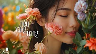 Nếu Vắng Nàng (Sans Elle) – Bản Jazz Buồn Cho Những Đêm Không Ngủ