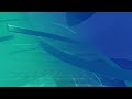 Highlights | Auckland United FC v Henderson Eels FC | OFC Women's Champions League 2025