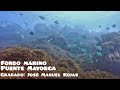 🐟Fondo Marino 🐠 Puente Mayorga 🐙