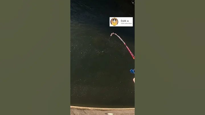 在排水沟钓鱼遇到鬼...小小钓竿被乱扯一通！【微钓新界】 #shorts #钓鱼 #fishing - 天天要闻