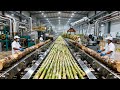 Inside a Modern Sugar Refinery: From Raw Sugarcane to Refined White Sugar (The Whole Process