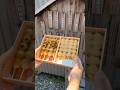 【静岡・浜松】和の甘みが広がる絶品お団子【舞阪団子】#静岡グルメ #浜松グルメ #団子 #お団子 #みたらし団子 #japanesefood
