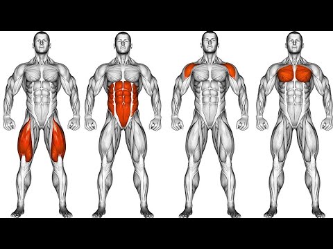 body workout at home app