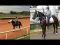La modelo y el entrenador - Víctor Raúl