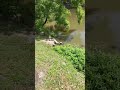 TURTLES SA POND