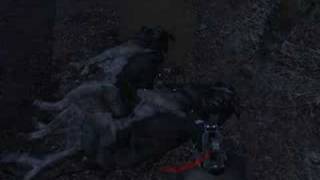 Call Of Duty 4  Modern Warfare  Sex Scene 