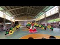 Video Image