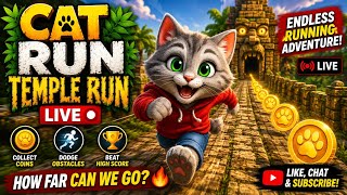 🐱 Cat Run Temple Adventure LIVE 🔴 Endless Runner Gameplay | New High Score Challenge screenshot 1