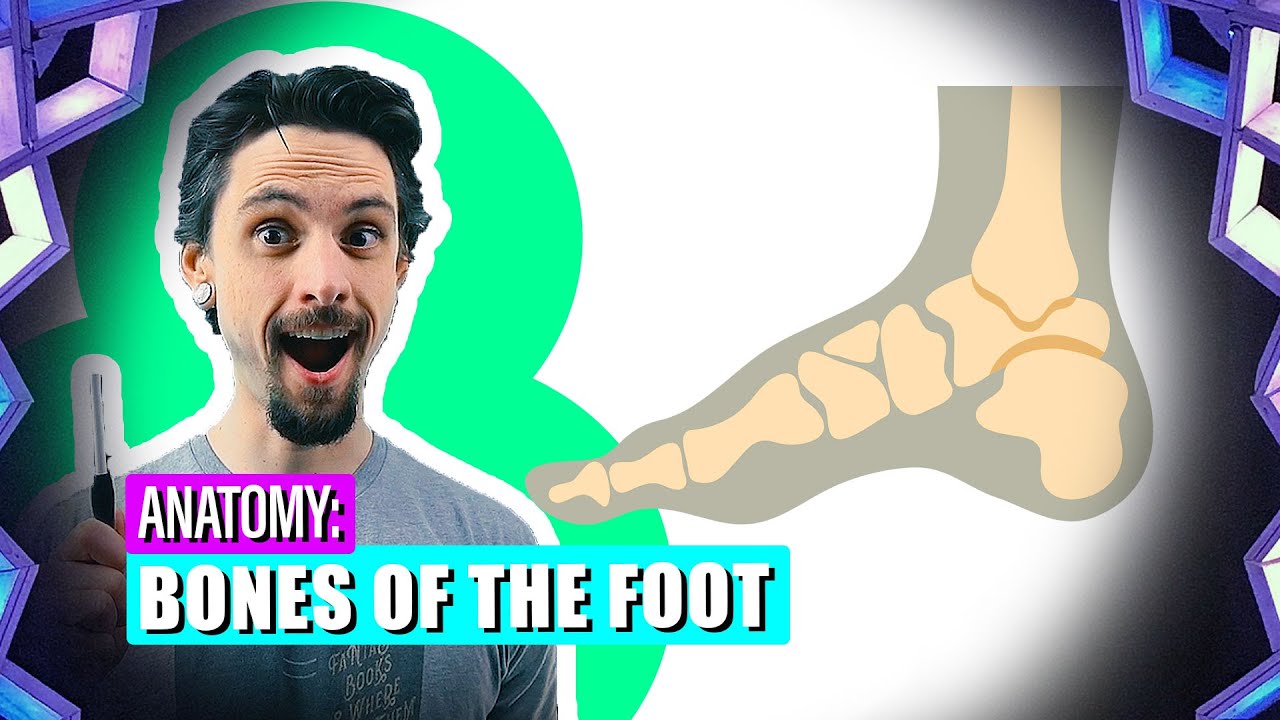 HOW TO PREVENT INJURIES (According to RESEARCH) | Comparing Strength, Proprioception, & Stretching