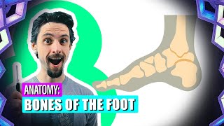 HOW TO PREVENT INJURIES (According to RESEARCH) | Comparing Strength, Proprioception, & Stretching