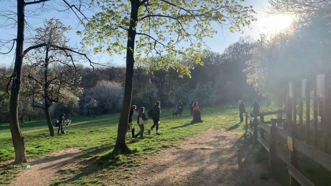 Schloss Wilhmeminenberg 16. Bezirk Wien Test Gimbal Hohem iPhone XR