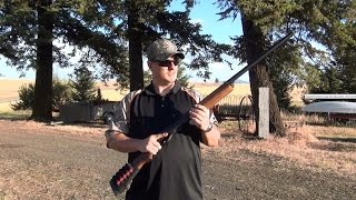 Remington 870 Vs. Large Wasp Nest Hd