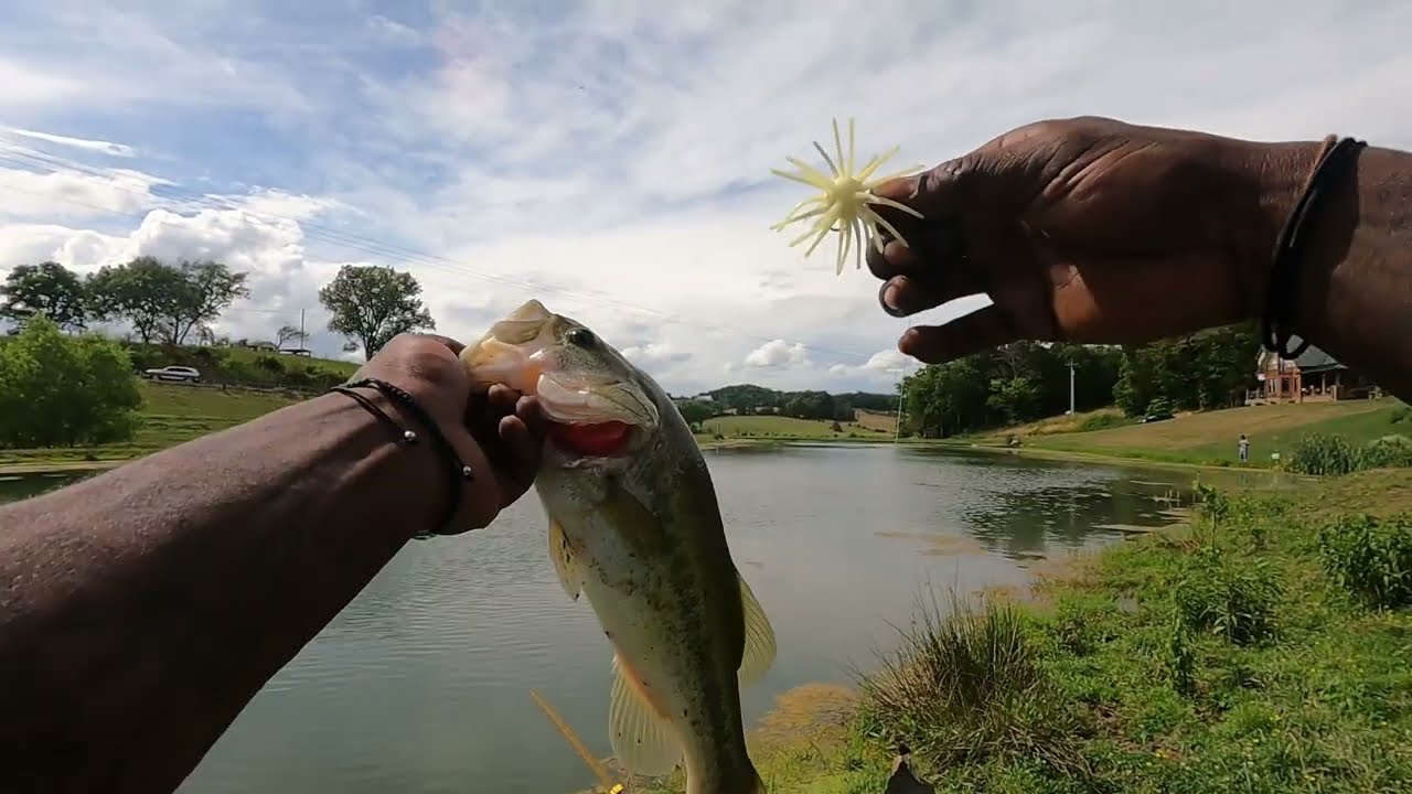 Pond fishing in the 423 with Reek
