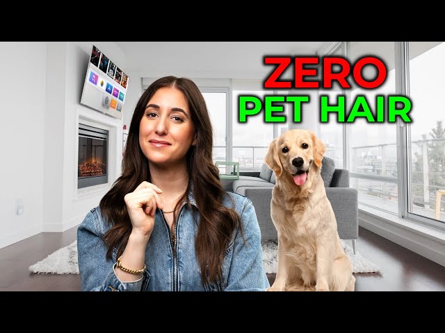 How to Get Rid of Pet Hair in Your Laundry